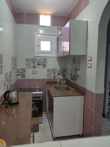 アスワンにあるHamo Fathy Nubian Houseのシンクとカウンタートップのあるキッチン
