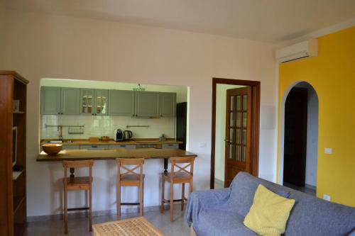 a kitchen with a blue couch and a kitchen island at Agriturismo Palmero in Alassio