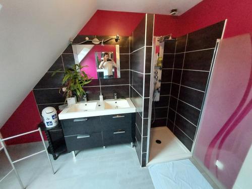 une salle de bain avec un lavabo et une douche avec un miroir dans l'établissement Maison spacieuse à Saint-Lunaire, à Saint-Lunaire