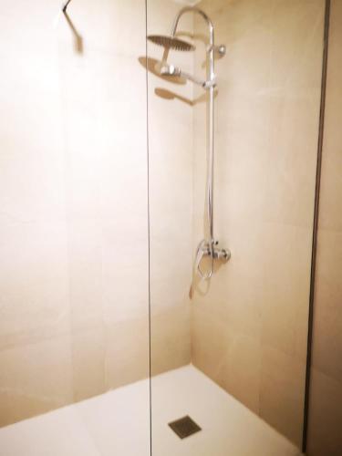 a shower with a glass door in a bathroom at El Mirador de Abionzo in Abionzo