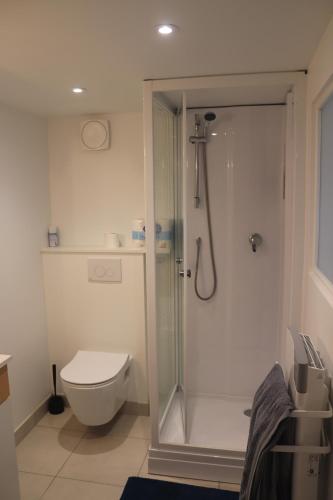 une salle de bain avec douche et toilettes dans l'établissement La Gaubretière, à LʼÉpaux