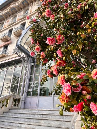Appartement Ombragé 44m2 Riviera Palace Belle-Epoque, Restomod et Literie Prestige