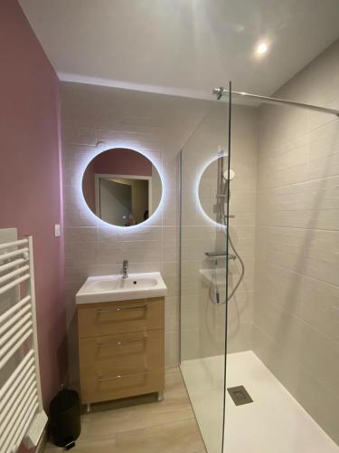 une salle de bain avec un lavabo et une douche avec un miroir dans l'établissement La grange des Arondes, à Les Magnils-Reigniers