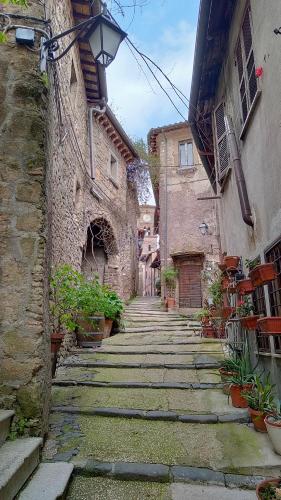 an alley with stone buildings and plants on it at L'Arco nel Borgo in Sacrofano