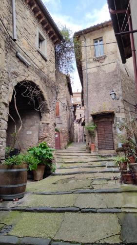 an alley with stone buildings and plants on the side at L'Arco nel Borgo in Sacrofano