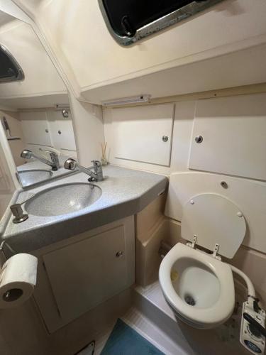 a small bathroom with a toilet and a sink at Veludstyret båd, med indbygget varme og gratis Wifi in Fåborg