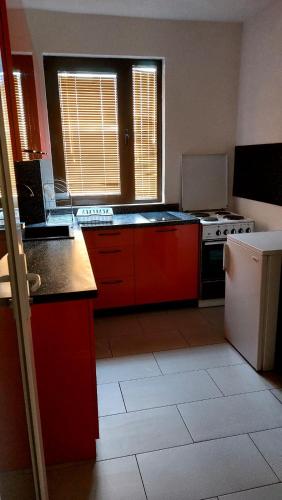 Kuhinja ili čajna kuhinja u objektu Pine house