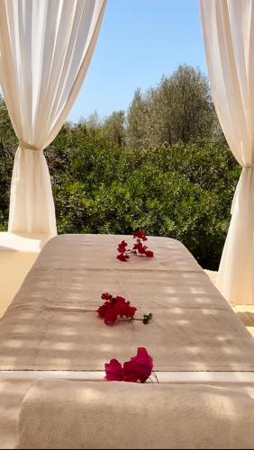 two red roses sitting on a table with curtains at Finca Hotel Rural Es Turó in Ses Salines