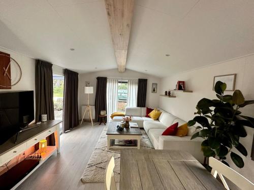 Televisyen dan/atau pusat hiburan di Luxe chalet met serre