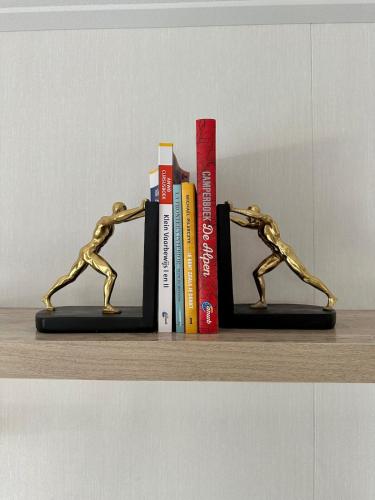 Perpustakaan di chalet