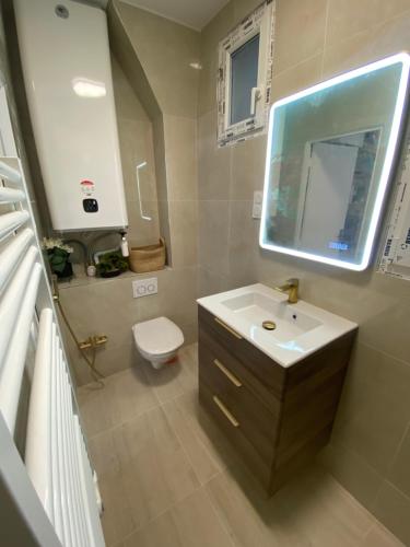 une salle de bain avec un lavabo, des toilettes et un miroir dans l'établissement Appartement Quartier Latin Paris 5 ème, à Paris