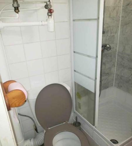 une petite salle de bain avec toilettes et douche dans l'établissement studio meublé au port du cap, au Cap d'Agde