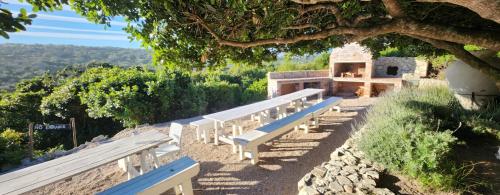 a group of white benches sitting under a tree at Seeplaas Guesthouse in Groot Brak Rivier