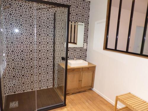 een badkamer met een douche en een wastafel bij Passage du Marché in Blainville-Crevon