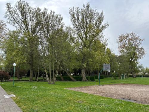a basketball hoop in a park with trees at Chouette appartement 5 personnes in De Haan