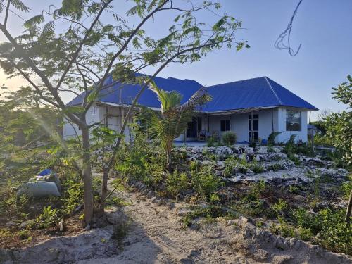 a white house with a blue roof at B&B G&H house Zanzibar in Pingwe