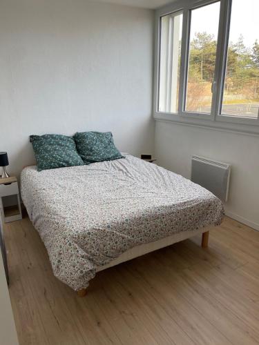 une chambre avec un lit dans une pièce avec une fenêtre dans l'établissement Charmant T2 rénové à neuf, à Saint-Hilaire-de-Riez