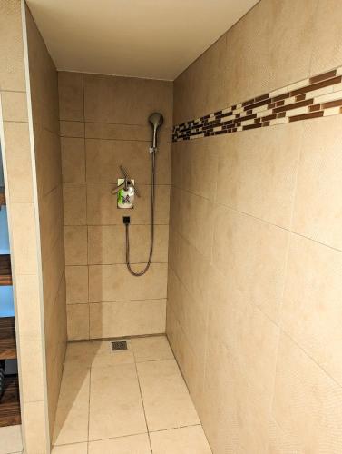 une salle de bain avec une douche avec pommeau de douche dans l'établissement Tiny House dans le jardin, à Boulogne-Billancourt