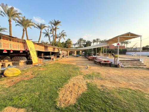 カイロにあるCharming Farm Stay with Barbecue Horses Monkeys and funの椰子の木がある建物