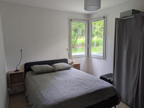 une chambre avec un lit et deux fenêtres dans l'établissement Appartement 4 à 6 couchages au calme, au Mans