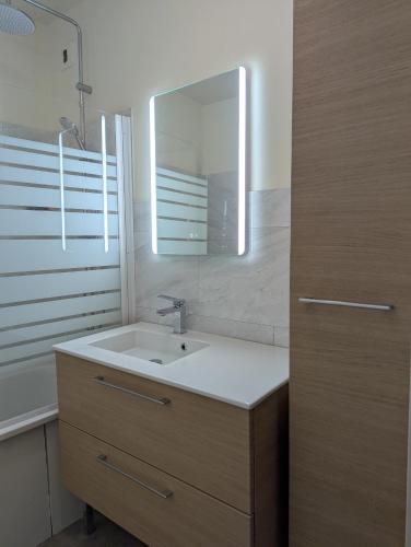 une salle de bain avec un lavabo et un miroir dans l'établissement Appartement 4 à 6 couchages au calme, au Mans