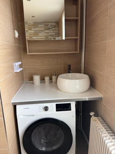 une salle de bain avec une machine à laver et un lavabo dans l'établissement Spacieuse maison, CDG, Astérix, Disney, Paris, à Stains