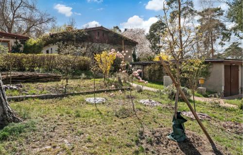 a garden with a small tree in the yard at Nice Home In Rangsdorf With Wifi in Rangsdorf