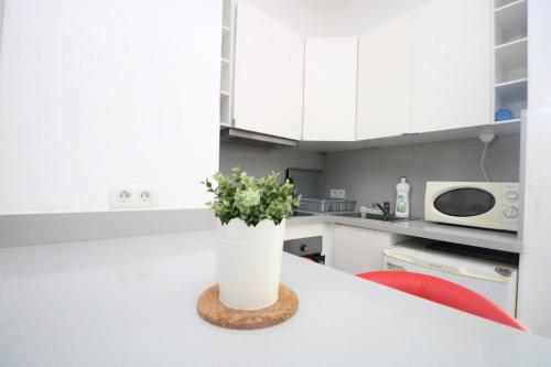 Modern One Bedroom Flat In Yucca Park