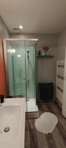 La salle de bains est pourvue d'une douche et d'une cabine de verre. dans l'établissement Maison bord rivière avec vue, à Lamothe-Montravel