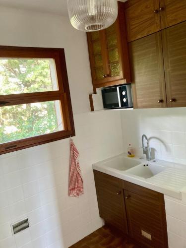 une cuisine avec un évier et un micro-ondes dans l'établissement Villa de bord de plage, à Pinarellu