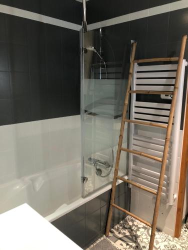 Phòng tắm tại Beautiful apartment in independent chalet, facing mythical Col du Galibier