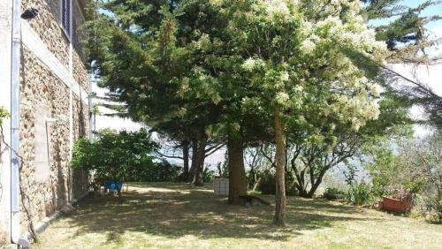 ガンジにあるCasa Vacanze Villa Marianoの隣庭木