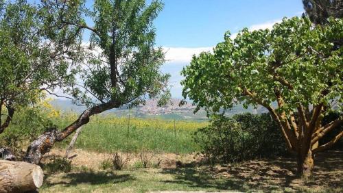 ガンジにあるCasa Vacanze Villa Marianoの草木の畑の眺め