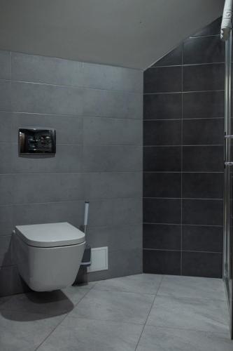 a bathroom with a toilet and a shower at Синевирський Перевал in Synevyr