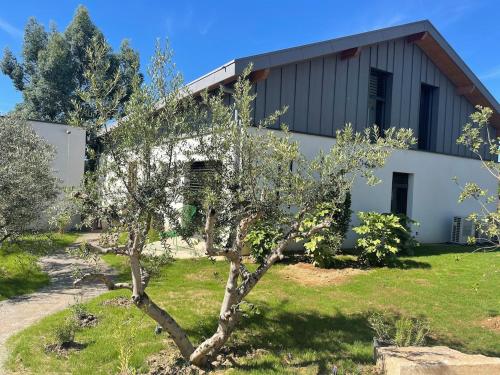 Zahrada ubytování Maison Lyon Ecully piscine climatisation de 250 M2