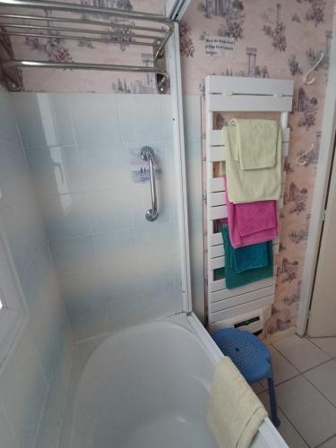 La salle de bains est pourvue d'une douche, de toilettes et de serviettes. dans l'établissement Maison à ROYAN PONTAILLAC, à Royan