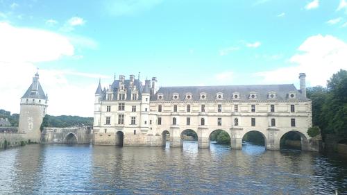a large castle with a bridge in the water at Gite en Sologne, -Châteaux de la Loire, Beauval - in Millançay
