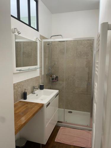 une salle de bain avec un lavabo blanc et une douche dans l'établissement Maison & ses 2 chats, au Mans