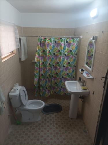 un bagno con un water, un lavandino e una tenda da doccia di La Villa a Lomé