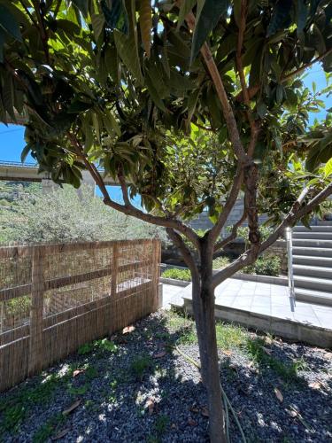 Foto dalla galleria di Taormina Stone Home a Taormina