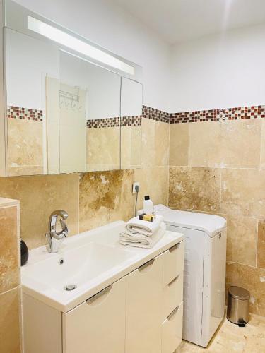 une salle de bain avec un lavabo et un miroir dans l'établissement Beau 2 pièces emplacement n 1 proche de la mer, à Fréjus