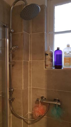une salle de bain avec une douche avec pommeau de douche dans l'établissement Charming 2-room apartment in Saint Jean d'Angely district, à Nice