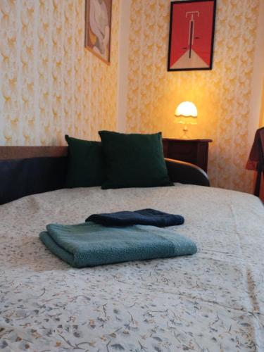 a bed with a blue pillow on top of it at Kuća za odmor u Banatu in Debeljača