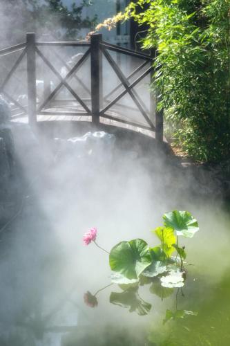 a bridge over a pond with a flower in the water at 南京又见江南民宿 in Nanjing