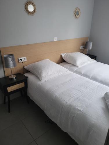 Postel nebo postele na pokoji v ubytování Bel appartement en RDC avec parking