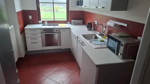 Η κουζίνα ή μικρή κουζίνα στο Apartman Karlovice