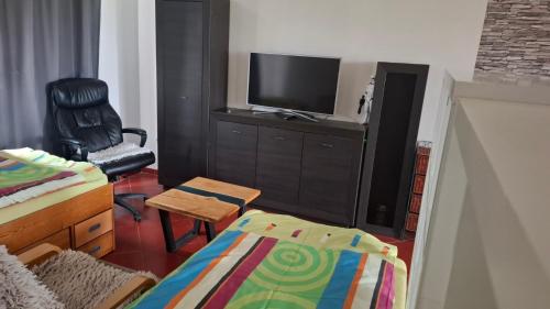 Μια τηλεόραση ή/και κέντρο ψυχαγωγίας στο Apartman Karlovice