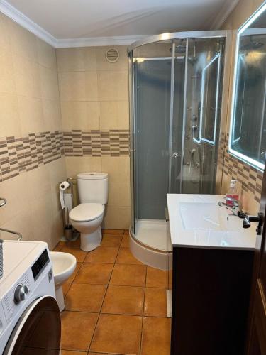a bathroom with a toilet and a shower and a sink at El Escondite de Aragón in Mora de Rubielos