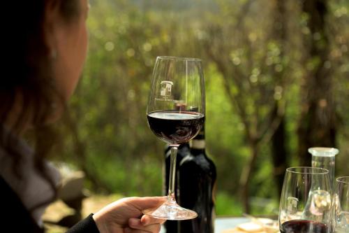 a person holding up a glass of red wine at Relais Poggio Borgoni in San Casciano in Val di Pesa