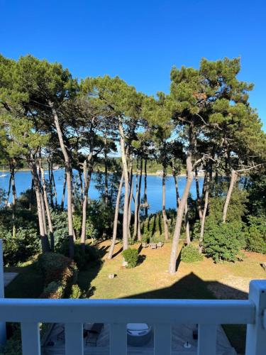 a view from the balcony of a resort with trees at La Villa Bel Ange Hotel in Saint-Philibert